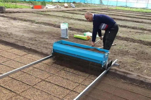 責(zé)任鑄就誠(chéng)信，匠心滋養(yǎng)沃土——記興安盟嶺南香農(nóng)產(chǎn)品開(kāi)發(fā)有限責(zé)任公司的農(nóng)業(yè)開(kāi)發(fā)之路