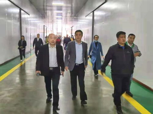 深化南北合作，共拓農(nóng)業(yè)新篇——東莞市河南商會(huì)赴黑龍江商務(wù)考察紀(jì)實(shí)