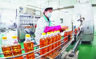 吉林 厚植黑土優(yōu)勢(shì)，賦能農(nóng)業(yè)升級(jí)，擘畫(huà)現(xiàn)代農(nóng)業(yè)新藍(lán)圖